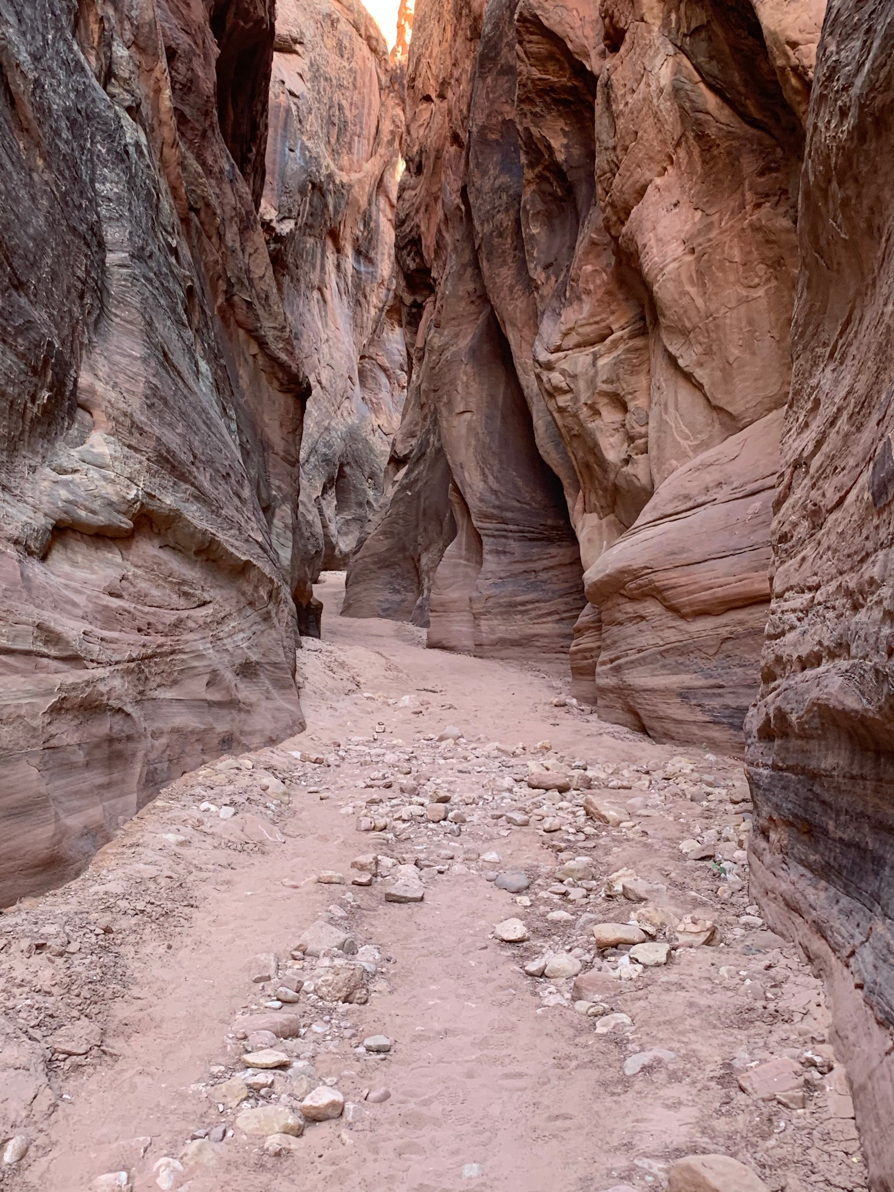 Vermillion Cliffs NM